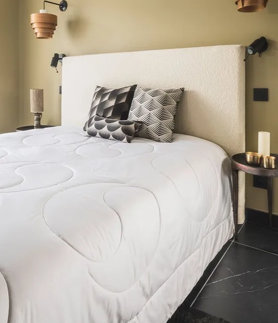 Couette Soie 250 — Brun de Vian-Tiran
