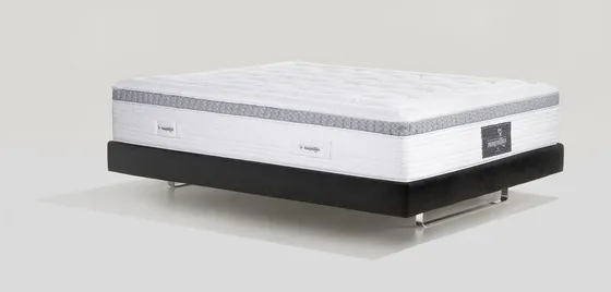 Audace Armonia Memoform/Magnigel Dual 12 — Magniflex