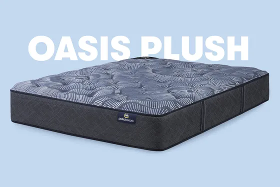 Perfect Sleeper Oasis Plush — Serta