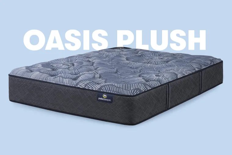 Perfect Sleeper Oasis Plush — photo officielle Serta